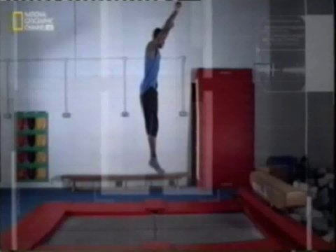 Camas elasticas: Ciencia para estupidos