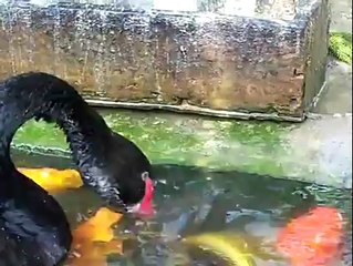 Tek kelime ile muhteşem!