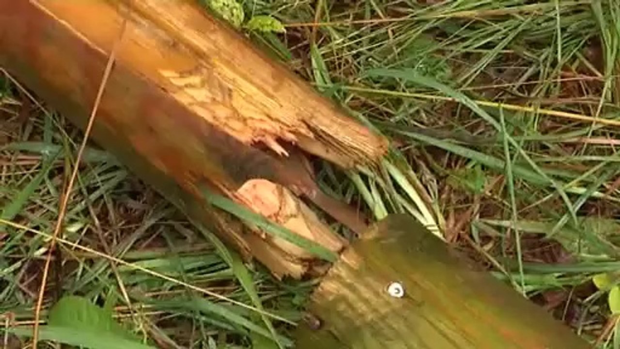 FUORI STRADA, UN MORTO E UN FERITO