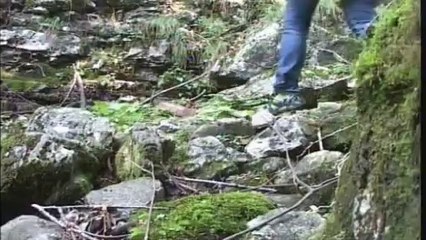 TRAGEDIA NEI BOSCHI FELTRINI