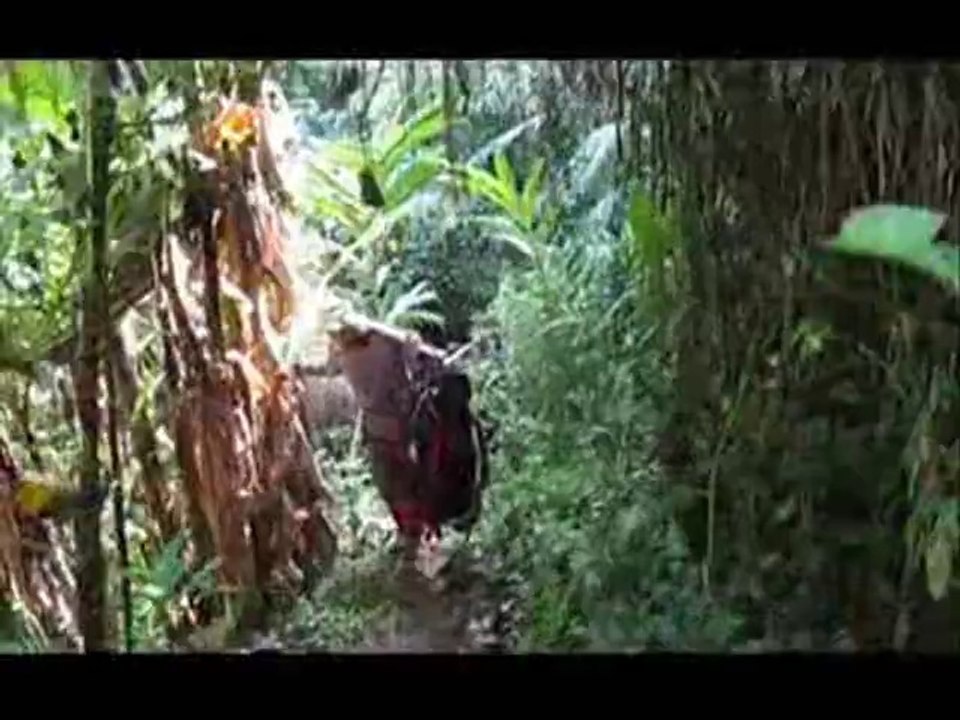 Videoproject IIWC Taman Jaya Ujung Kulon