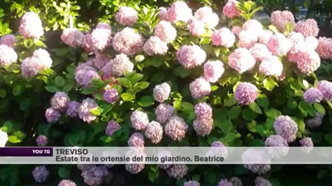 LE VOSTRE FOTO