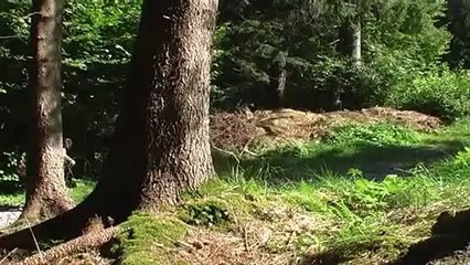 TRAGICHE VACANZE, MUOIONO DUE TURISTI