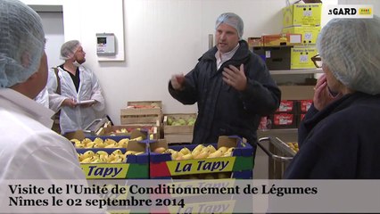 Rentrée scolaire 2014 : visite de l'Unité de Conditionnement de Légumes