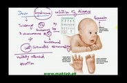 FSc Biology Book2, CH 21, LEC 6: Importance of meiosis and Meiotic errors