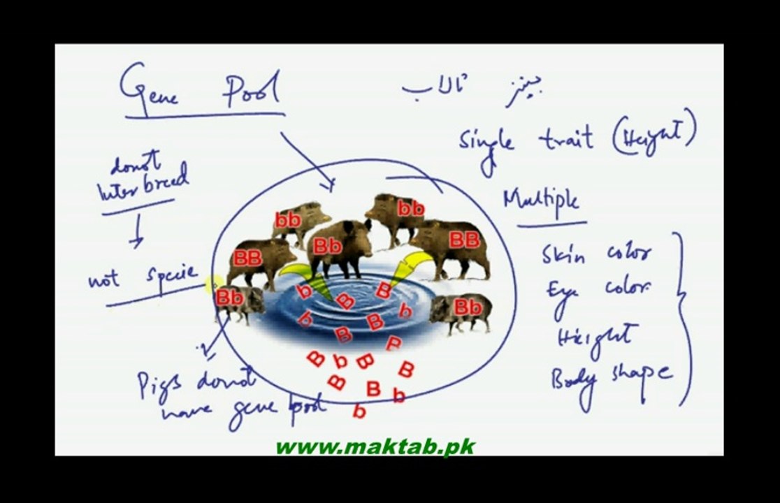 FSc Biology Book2, CH 22, LEC 1: Introduction, Genes, Alleles and Gene Pool