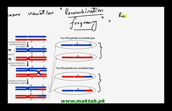 FSc Biology Book2, CH 22, LEC 8: Gene Linkage, Crossing Over and Recombinant Frequency