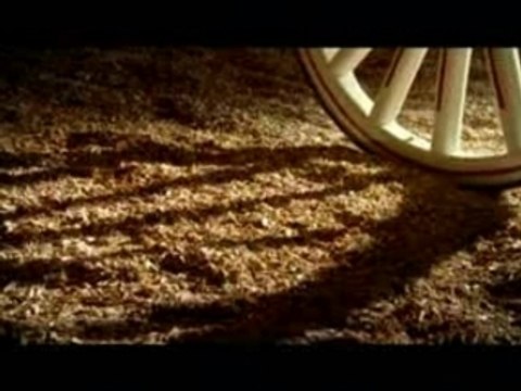 Budweiser Clydesdale American Dream