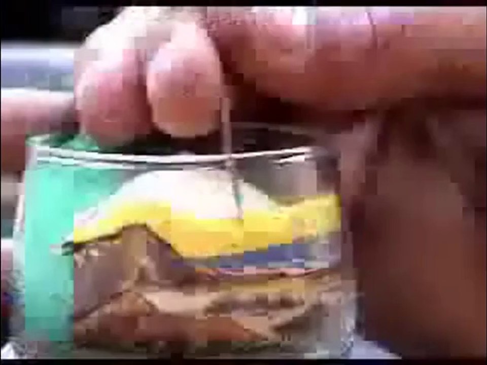 Funny Videos - funny cats - Funny Pranks - Funny Cats Videos - funny fails - funny animals(Risingformuli)