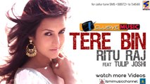 Tere Bin | Ritu Raj ft Tulip Joshi | Official Video || Album STAR | Latest Punjabi Pop Hit Song-2014