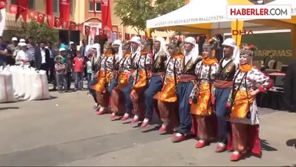 Gaziantep'te En İyi Antep Fıstığı Yarışması Düzenlendi