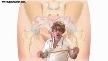 Cours d'anatomie par le Professeur Bernard