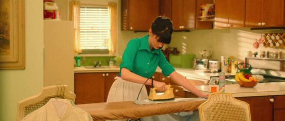 PÁSSARO BRANCO DA NEVASCA