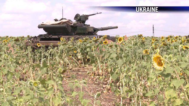 AFP - Le JT, 2e édition du mercredi 3 septembre