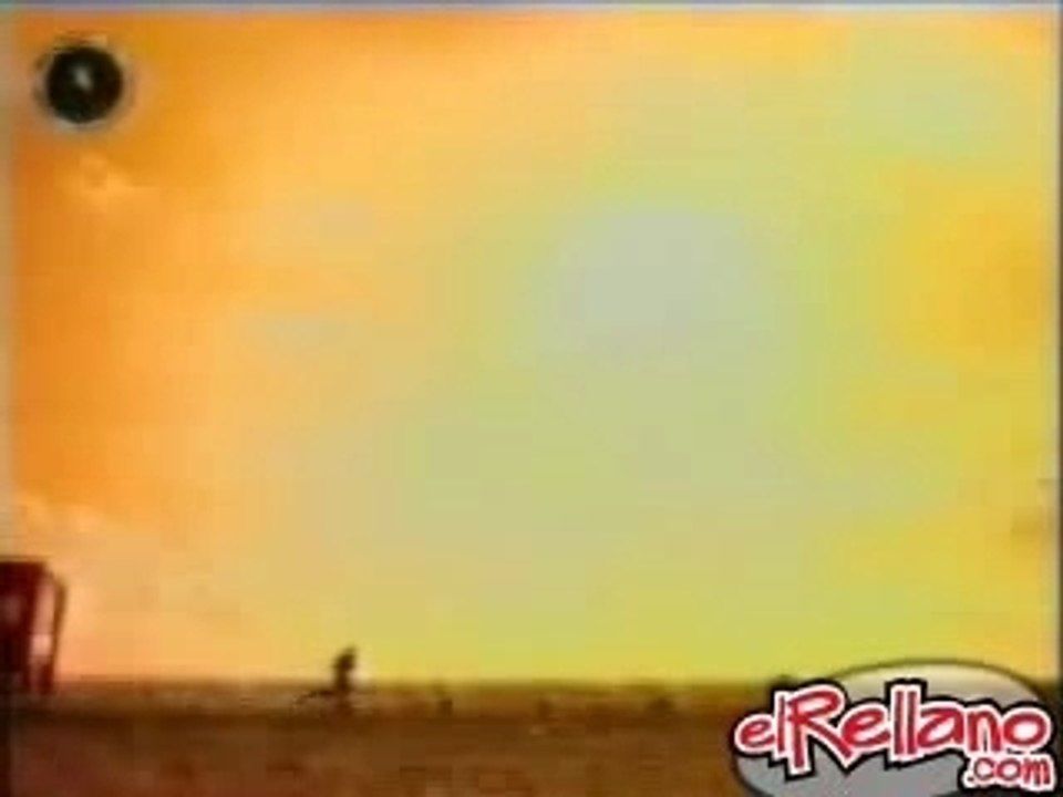 La Biere et La Tortue