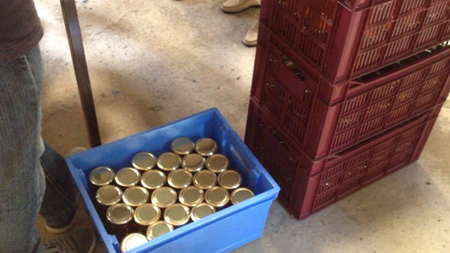 Près de 70 kg de miel récoltés