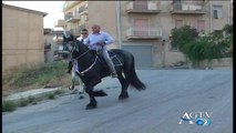 aragona sfilata equestre news agtv