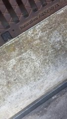 shadow125 avec chicane sound control systems