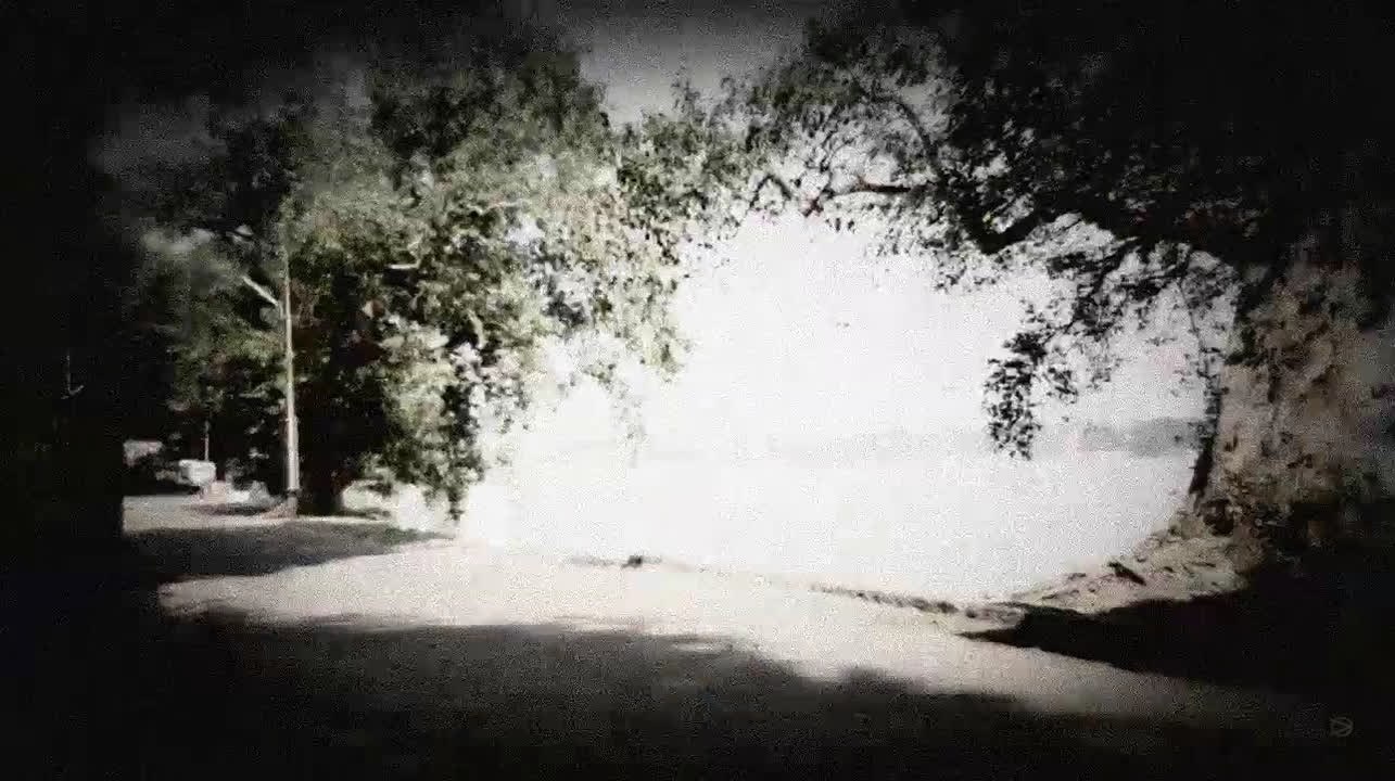 Awake: The Life of Yogananda - Trailer for Awake: The Life of Yogananda