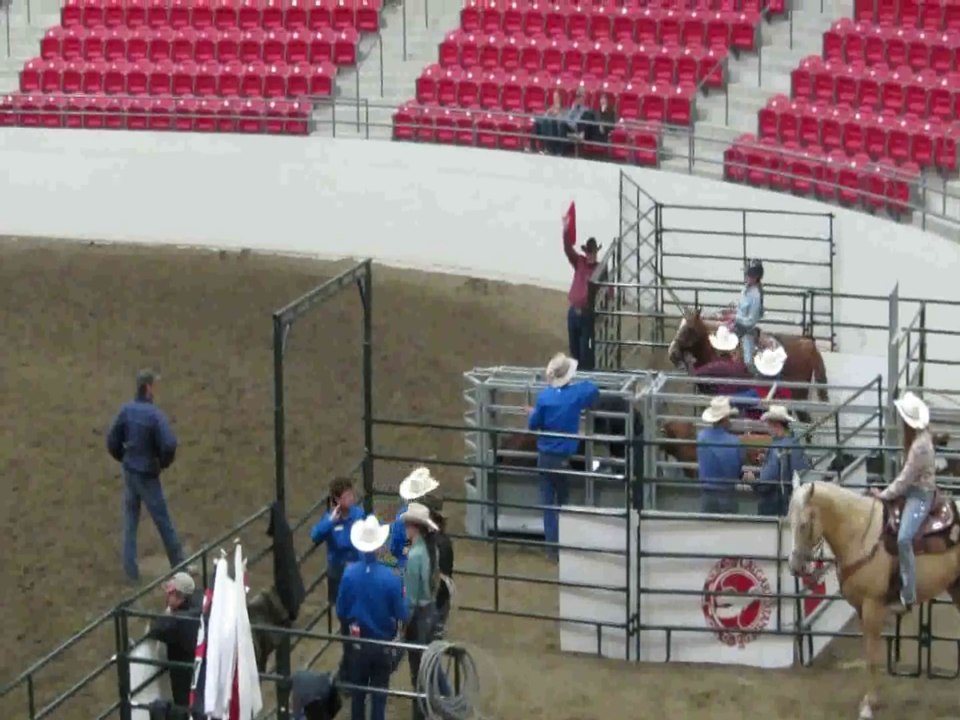 Kinder Western Show in der Calgary Stampede