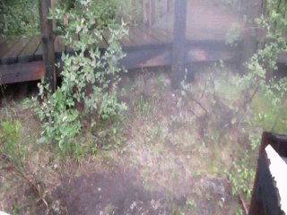 Hot Springs in Banff