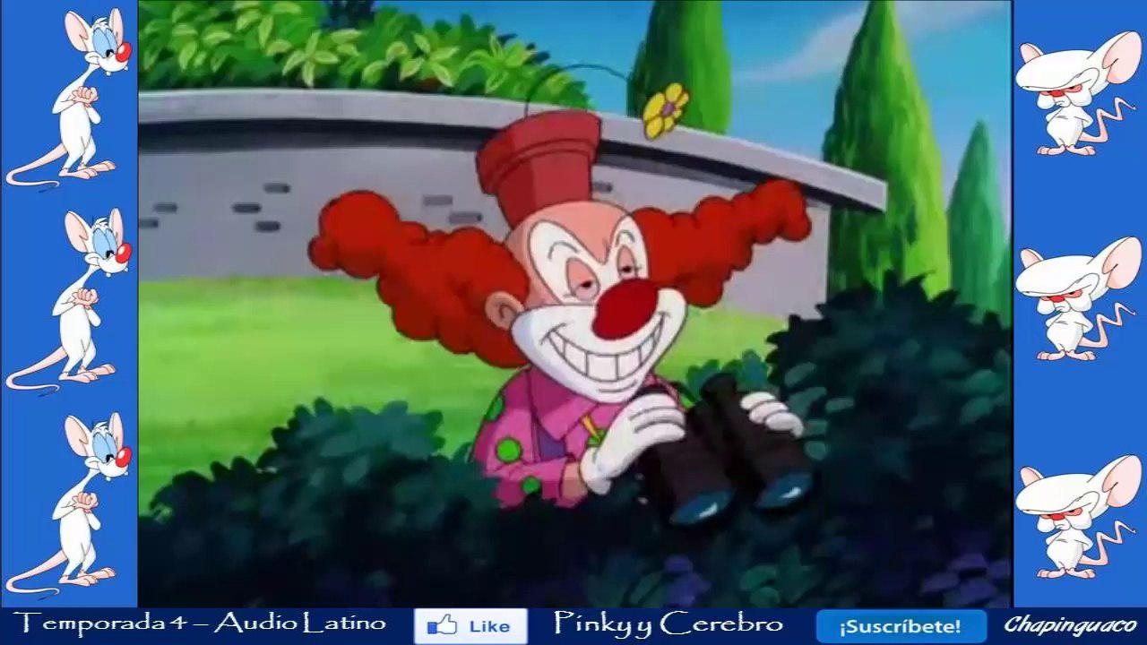 Pinky y Cerebro Capitulo 60