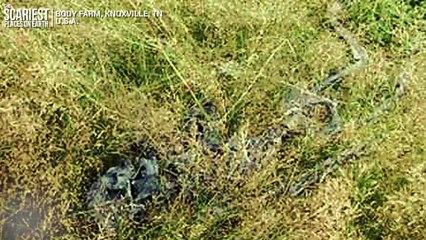 Scariest Places: Body Farm