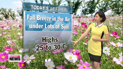 Beautiful early autumn weather in store