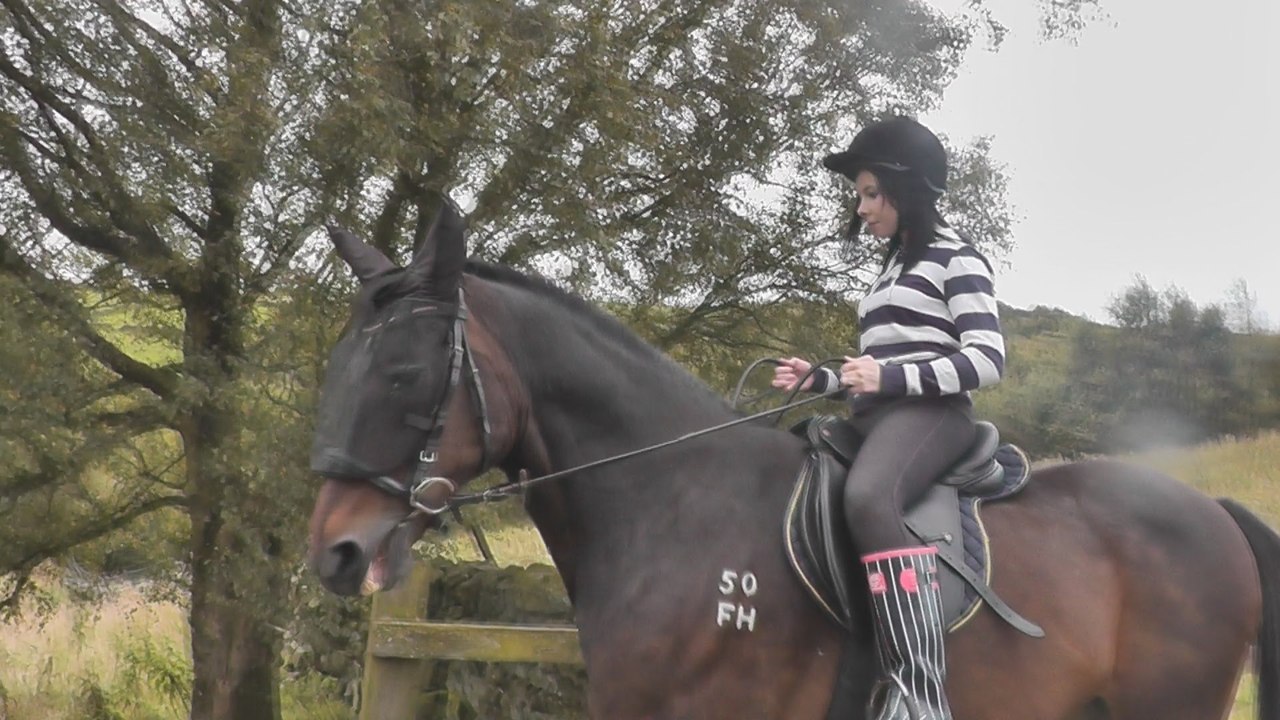 HORSE RIDING TIME