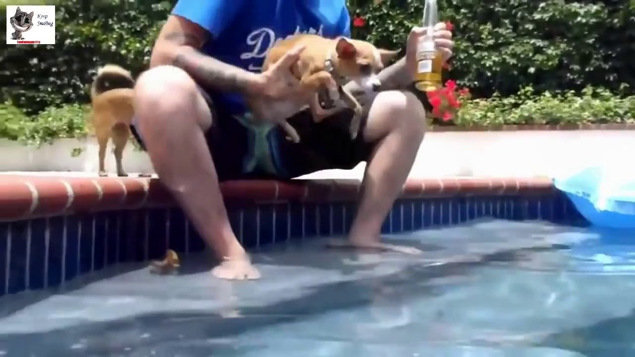 Awesome Funny & Smart Dogs Compilation 2014
