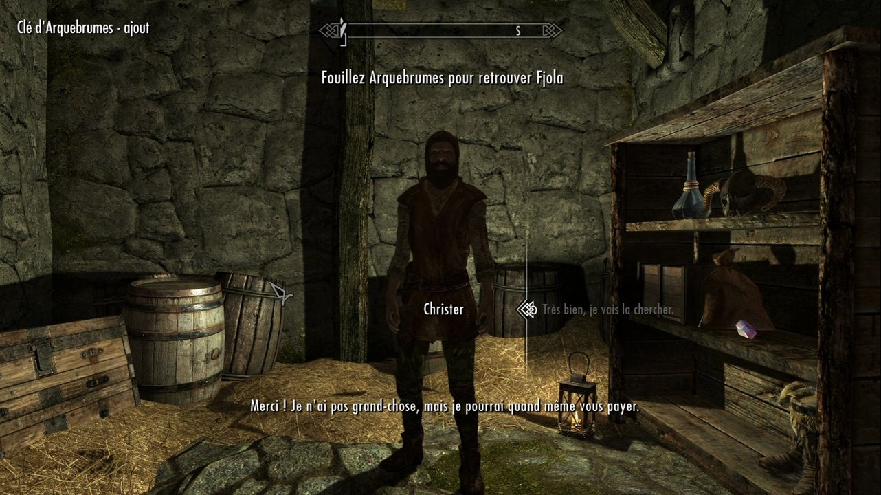 Skyrim 110