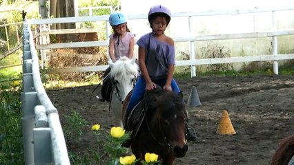 2014.09.03 Tigris (3)