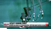 Japan's bipedal robot dashes to 4.3 km per hour