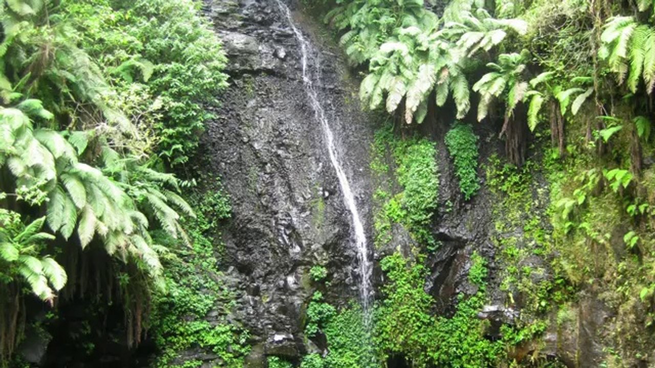 Mindfulness Breathing - Jon Kabat-Zinn (Eng)