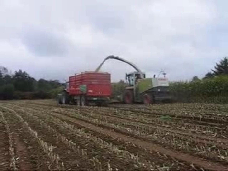 Ensilage 2006, Chantier n°16