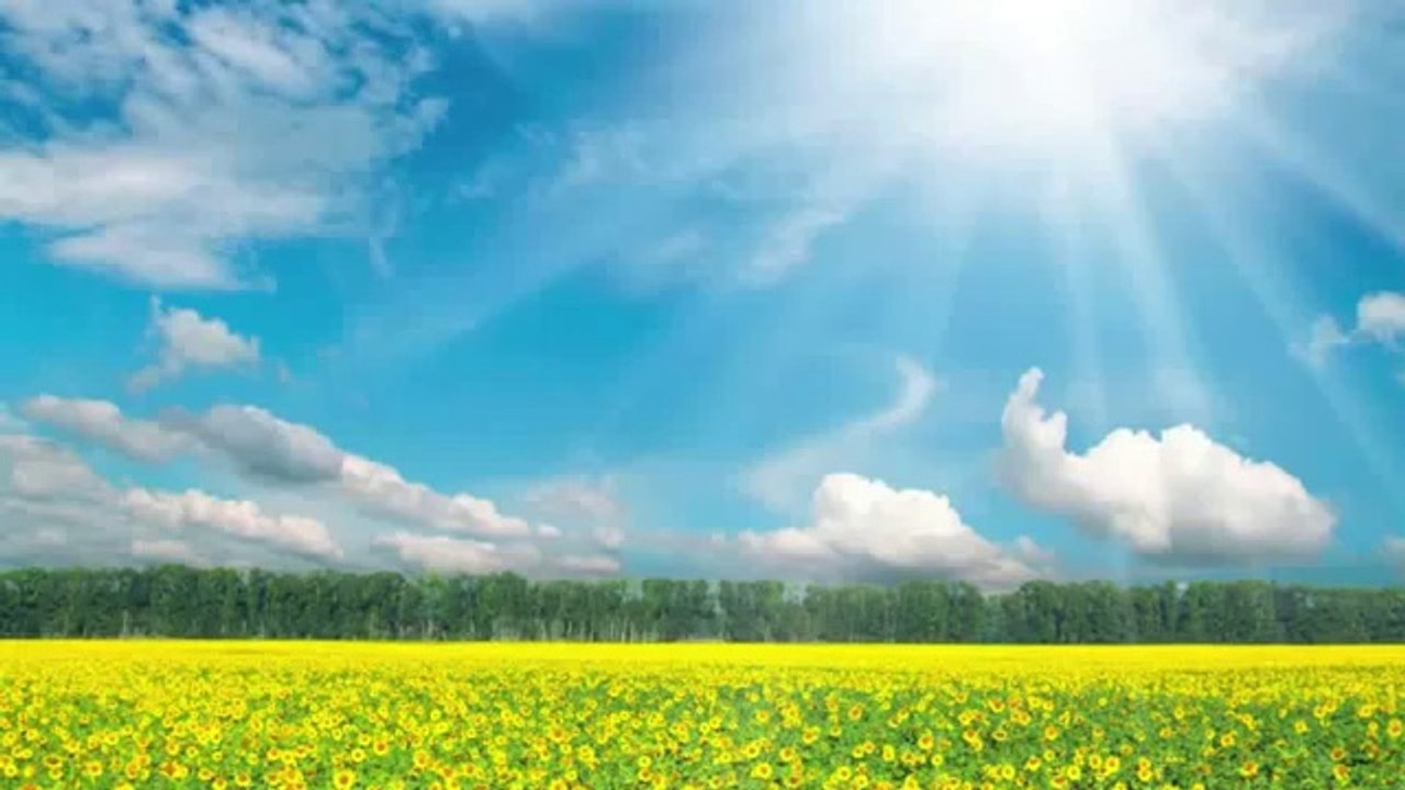 Miracle Manifesting Program Review - Miracle Manifesting Program