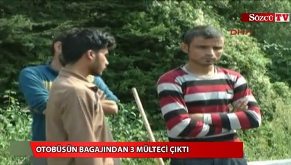 Otobüsün bagajından 3 mülteci çıktı