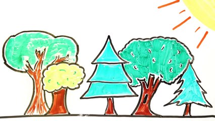 Do You Think That Plants Think