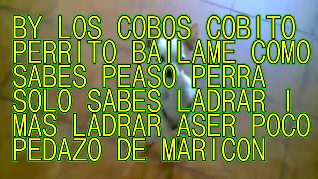 dj cobos 2014 el retrasao hacker del internet