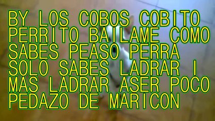 dj cobos 2014 el retrasao hacker del internet