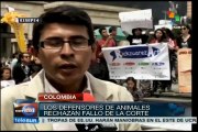 Colombia: rechazan fallo constitucional a favor de corridas de toros