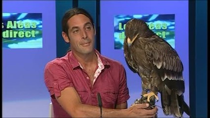 Les Aléas du Direct du 03/09/2014