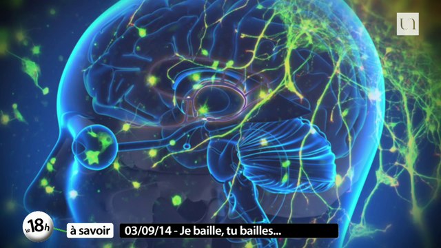 Abeilles des villes, abeilles de champs