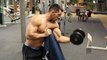 Biceps concentration curls on the preacher bench