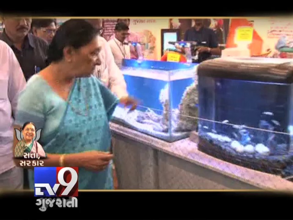 Gujarat Chief Minister Anandiben Patel's 100 days in 'Modi Style' Part 2 - Tv9 Gujarati