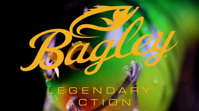 Bagley Bait Fishing Lures - Balsa B