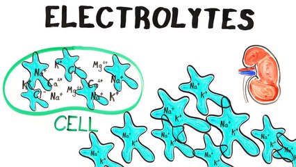 Do You Think That You Drink Too Much Water