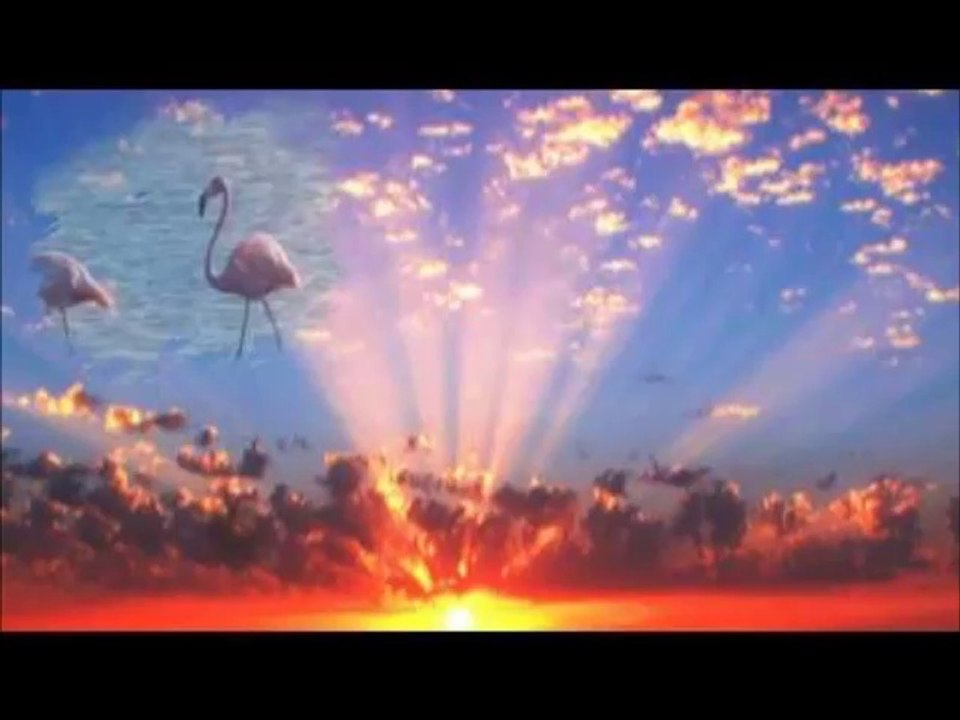 N'AVOUE JAMAIS par Nicolino