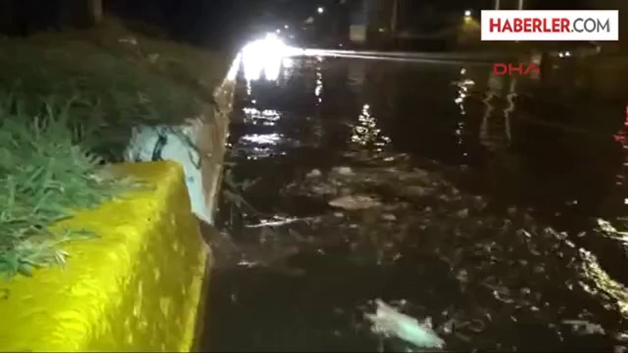 Fırtına ve Yağış, Edirne'de Üreticiyi Vurdu
