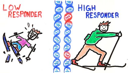 Something About Talent vs Training